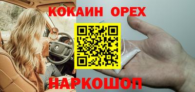 эйфоретик Малгобек