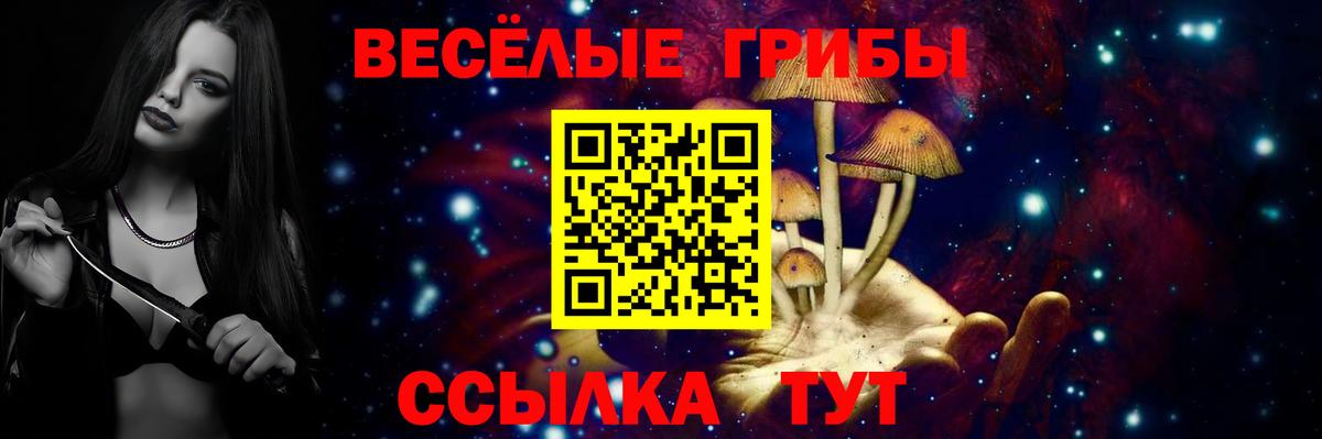 Псилоцибиновые грибы Psilocybine cubensis  Вход с VPN  Шебекино 